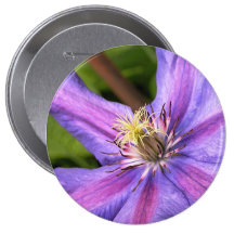 Clematis Button