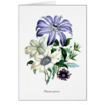 Clematis Cards