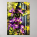 Clematis - Clematis & Lamp Posters