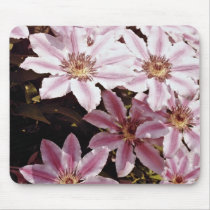 Clematis  flowers mousepads