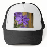 clematis mesh hat