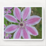 Clematis Mouse Pads