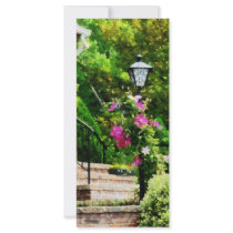 Clematis on Lamp Post