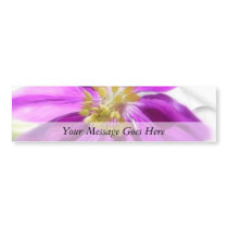 Clematis Petalled Aquilegia (Columbine) Bumper Sticker