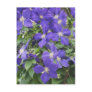 clematis post card