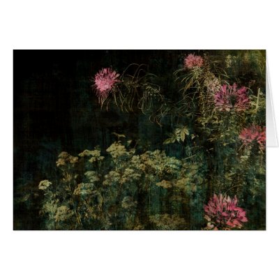 Cleome Greeting Card by OccasionalOasis