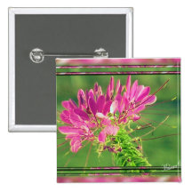 Cleome Pin-other matching items