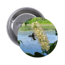 Clethra & Wasp ~ button