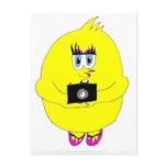 Click Chick Photography Girl Post Cards