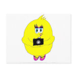 Click Chick Photography Girl Postcards