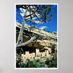 Cliff Palace - Mesa Verde National Park Print
