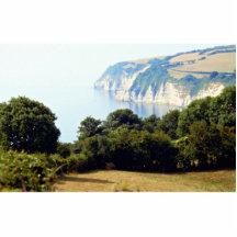 Cliffs at Beer Seaton Bay, Dorset, England Photo Cut Outs