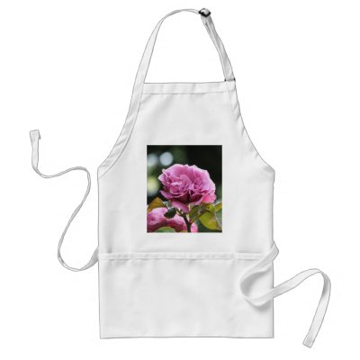 Climbing Angel Face 196 Apron by MobyD46