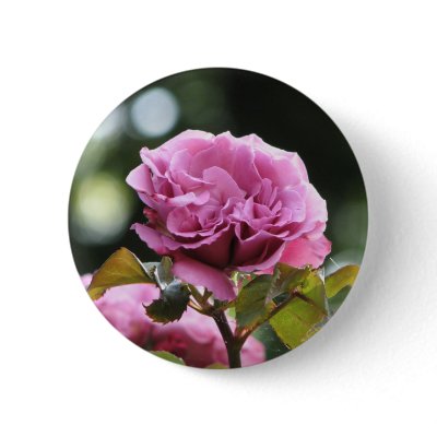 Climbing Angel Face 196 Pinback Buttons by MobyD46