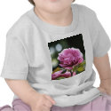 Climbing Angel Face 196 t-shirts