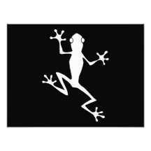 Climbing Frog Silhouette Photograph