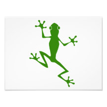 Climbing Green Frog Silhouette Photographic Print