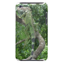 Climbing Lizard iTouch Case iPod Case-Mate Case