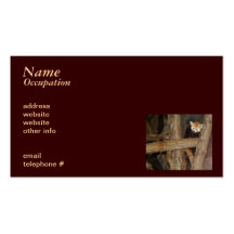 Climbing Panda Business Card