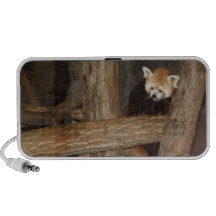 Climbing Panda Speaker