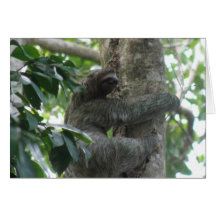 Climbing Sloth Greeting Card