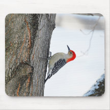 Climbing the Tree Mousepad