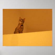 Climbing the Walls
