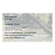 Clinch River Scenic Business Cards