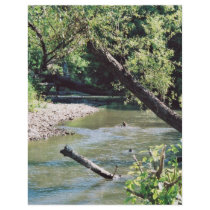 Clinch River Scenic Full Color Flyer