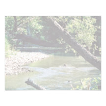 Clinch River Scenic Invitation