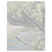 Clinch River Scenic Letterhead Template