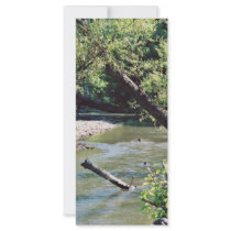 Clinch River Scenic Personalized Rack Card