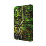 Clinging to Life - Wrapped Canvas