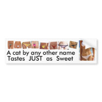 Clipboard01, new, new2, Tastes  just  as  Sweet... Bumper Sticker