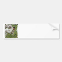 Clipped Paint Horse Bumper Sticker
