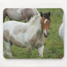Clipped Paint Horse Mouse Pad