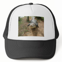 Close Call Mesh Hat
