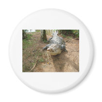 Close Call Refrigerator Magnet