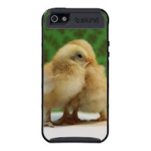 Close Chicks iPhone 5 Cases