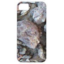 Close Up Abstract of Pebbles iPhone 5 Case