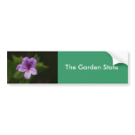 Close Up Bumper Sticker