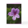 Close Up Greeting Cards