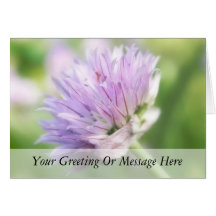 Close Up - Chive Flower Cards
