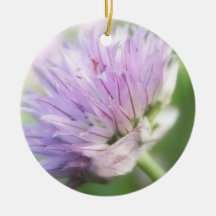 Close Up - Chive Flower Ornaments