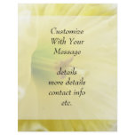Close Up - Elegant Daffodil Full Color Flyer