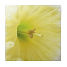 Close Up - Elegant Daffodil Tile