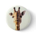 Close-Up Giraffe buttons