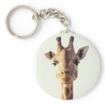 Close-Up Giraffe Key Chain