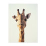 Close-Up Giraffe Postcards