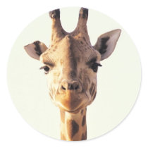 Close-Up Giraffe Round Sticker
